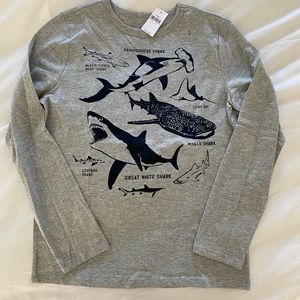 Boys long sleeve shark T